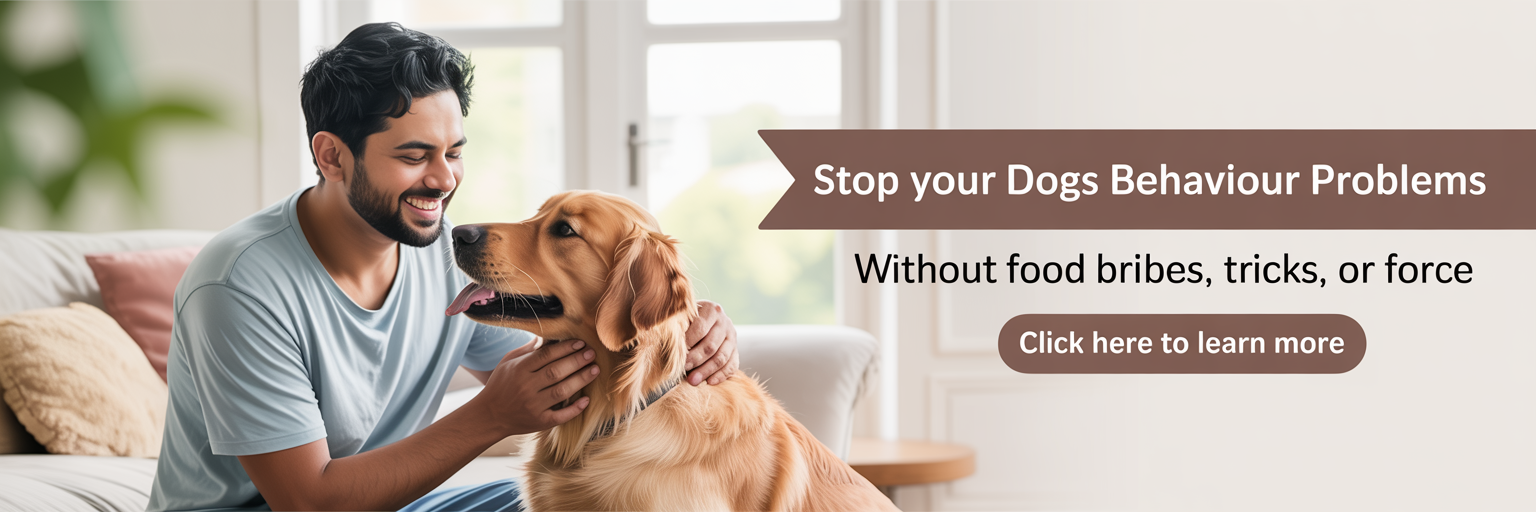 Stop your Dog\\\\\\\\\\\\\\\\\\\\\\\\\\\\\\\'s Behavior Problems - Without food bribes, tricks, or force